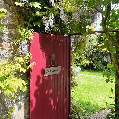 Spacious With Garden *
